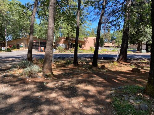 14159 Skyway, Nimshew CA  95954-9471 exterior