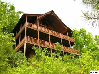 2595 Raccoon Hollow Way, Pigeon Forge, TN 37862-8179