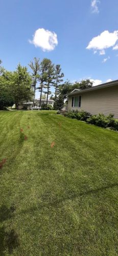 2005 Hollister Ave, Tomah WI  54660-2817 exterior