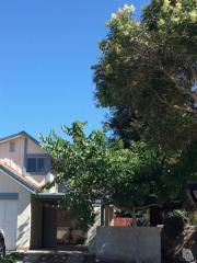 155 Ripley St, Camarillo, CA 93010-2617