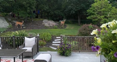 5 Archer St, Swampscott MA 01907 exterior