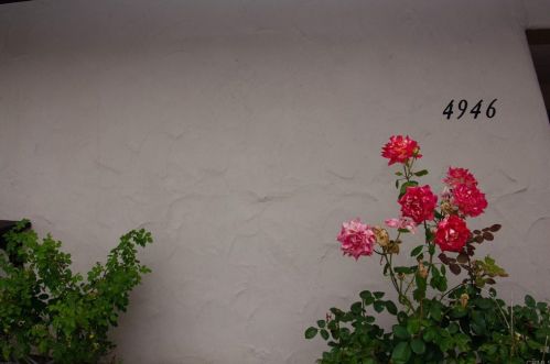 4946 Park Dr, Carlsbad CA  92008-3812 exterior