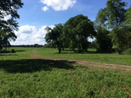 51 Restertown Rd, Crossroads, MS 39470