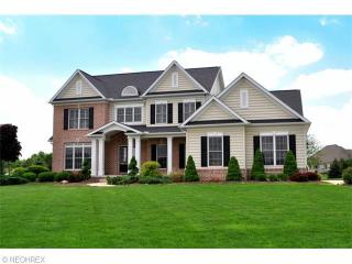 4377 Fox Meadow Dr, Medina, OH 44256-6561