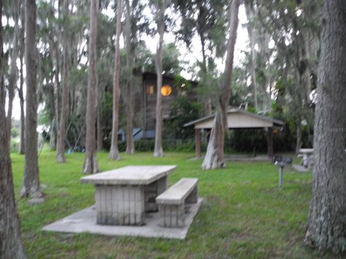 18717 Hamilton St, Lutz FL  33549-3820 exterior