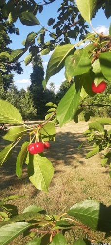 566 Lattintown Rd, Marlborough NY  12542-5143 exterior