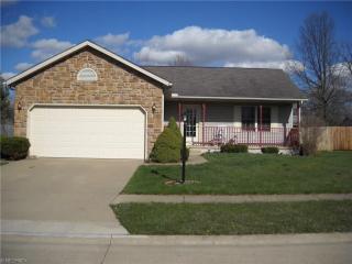 272 Lake Dr, Lagrange OH  44050-9608 exterior