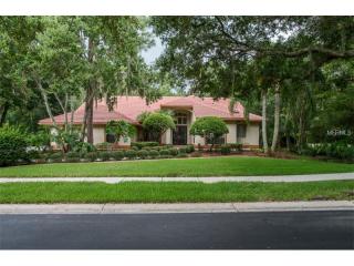 10 Turtle Creek Cir, Oldsmar, FL 34677-1925