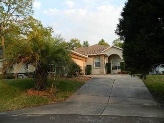 54 Byrsonima Loop, Homosassa, FL 34446-4647