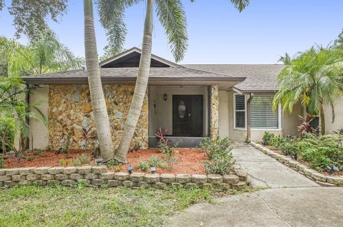 3460 Snowy Egret Ct, Palm Harbor FL  34683-2231 exterior
