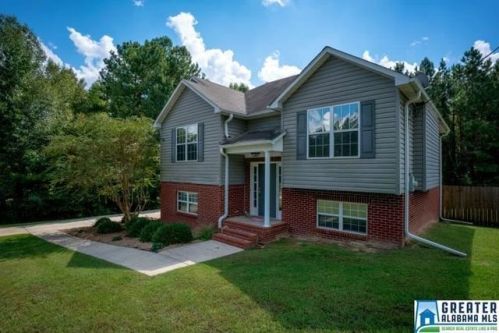 703 Isbell Rd, Branchville, AL 35120-2208