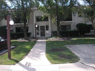 2917 Bay Dr, Cleveland, OH 44145-4469