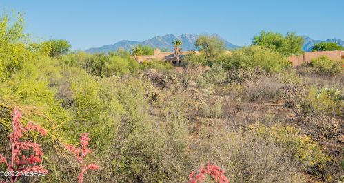 1347 Madera Reserve Dr, Green Valley, AZ 85614-6062
