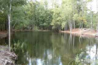 7626 Bellaire Dr, Nichols, SC 29581-4157
