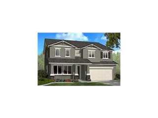 16896 Forty Niner Trl, Lathrop, CA 95330-8847
