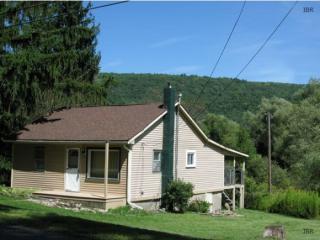 533 Brown Rd, West Danby, NY 14883-9639