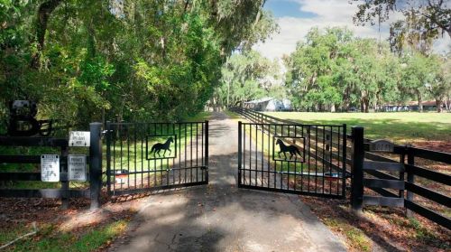 28001 Villa Rd, Dade City FL  33525-7922 exterior