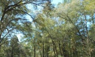 3824 56th St, Ocala, FL 34482-7801