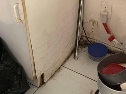 5708 Cardinal Guard Ave, Orlando FL 32839-3126 exterior