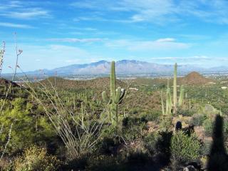 7167 El Camino Del Cerro, Tucson, AZ 85745-9339
