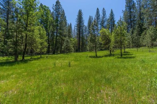 16580 Highway 26, Glencoe CA  95232-9712 exterior