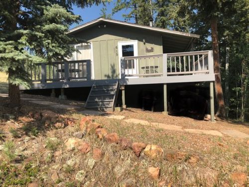 615 Turkey Creek Dr, Deckers, CO 80135-9738