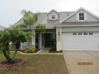 11003 Newbridge Dr, Riverview, FL 33579-7767