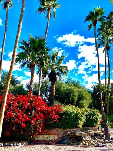 9270 Mission Ln, Scottsdale, AZ 85258-5028