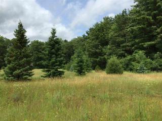 1335 Edgewater Dr, Alban, WI 54473-9166