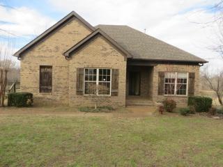 11100 Millington Arlington Rd, Lakeland, TN 38002-6930