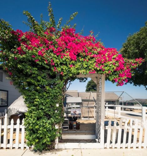 31508 Avenida Del Reposo, Temecula CA  92591-1724 exterior