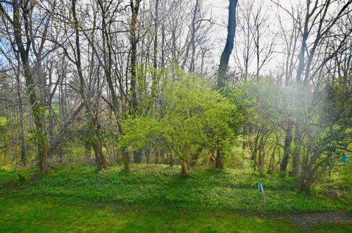 168 Langshire Ct, Florence KY  41042-3550 exterior