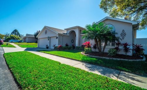 10532 Bucks Run, New Port Richey, FL 34654-5853
