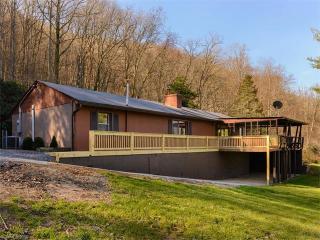 36 Cedar Mountain Rd, Asheville, NC 28803-9671