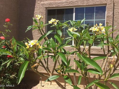 38301 15th Ave, Phoenix AZ 85041-4712 exterior