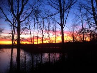 892 Driftwood Dr, Lobelville, TN 37097-4239