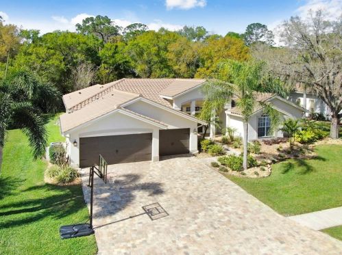4994 Turtle Creek Trl, Oldsmar, FL 34677-1969