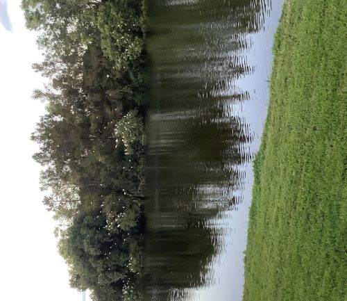7699 Cardinal Ct, West Palm Beach, FL 33412-3137