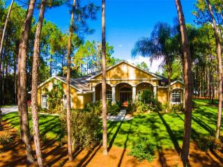 316 Pine Bluff Dr, Lutz, FL 33549-5000