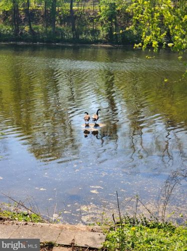 4956 Skippack Pike, Collegeville PA  19473-2049 exterior