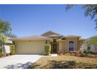 4507 Wild Plum Ln, Lutz FL  33558-9082 exterior