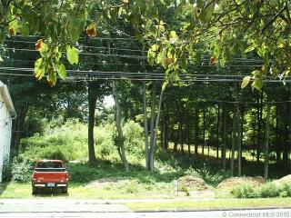 225 Park St, Bristol, CT 06010-6029