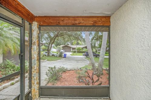 3460 Snowy Egret Ct, Palm Harbor FL  34683-2231 exterior