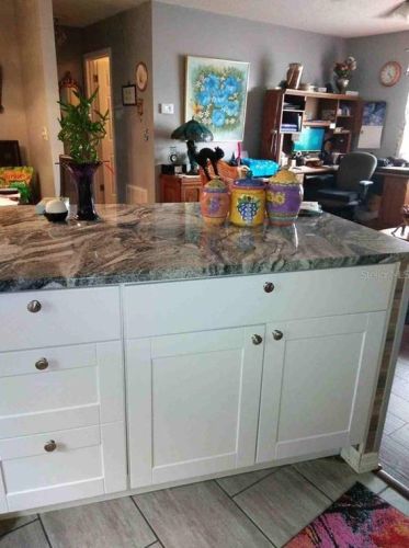10263 176th St, Summerfield, FL 34491-6903