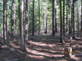 3 Us Highway 2, Troy, MT 59935-8781