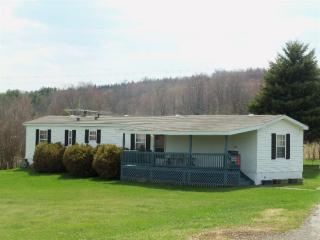 772 Terry Rd, Stamford, NY 12167
