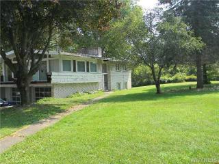 12549 Savage Rd, Sardinia, NY 14134-9725