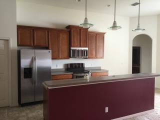 11715 Summer Springs Dr, Riverview FL  33579-4075 exterior