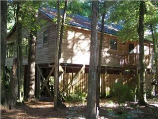 20935 Lamb Eddy Rd, Altha, FL 32421-4739