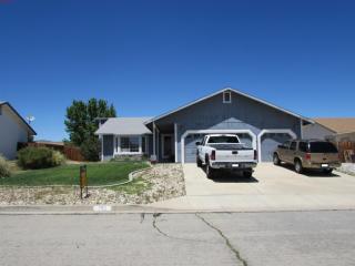 305 Carlene Dr, Sparks, NV 89436-8976